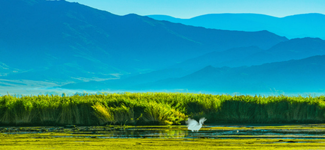 bat365旧版登录入口